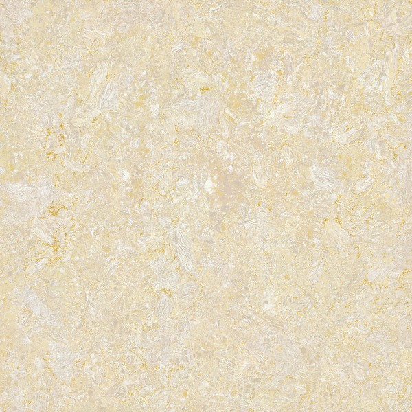 K8204A.jpg